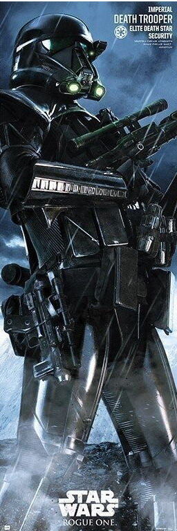 STAR WARS DEATHTROOPER DOOR POSTER