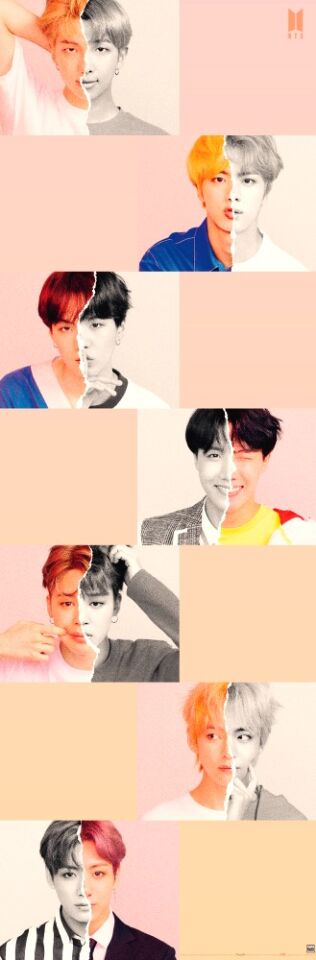 BTS SELFIE  DOOR POSTER