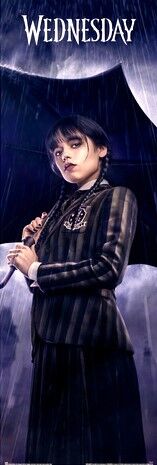 WEDNESDAY  DOOR POSTER